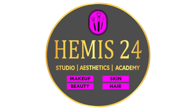 HEMIS 24 Logo